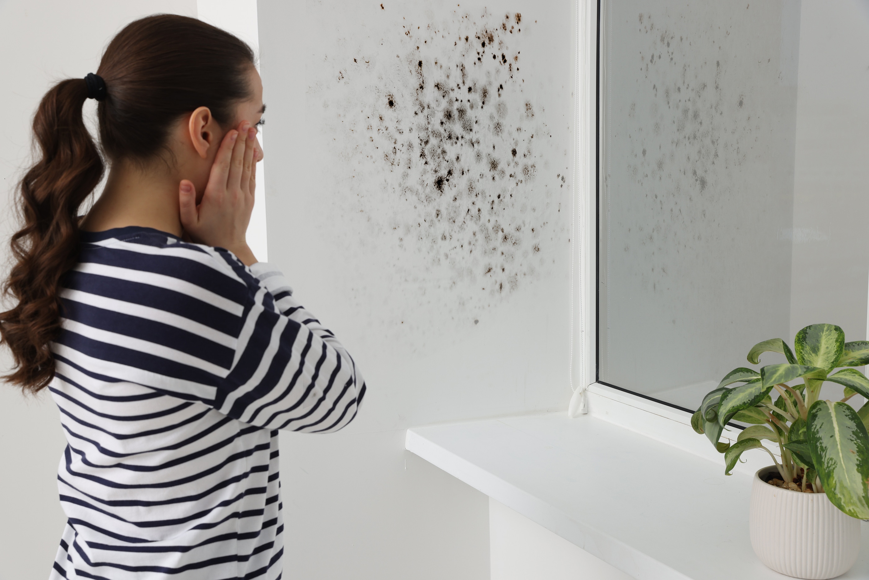 Battling the Silent Invader: 6 Signs You Need Mold Remediation