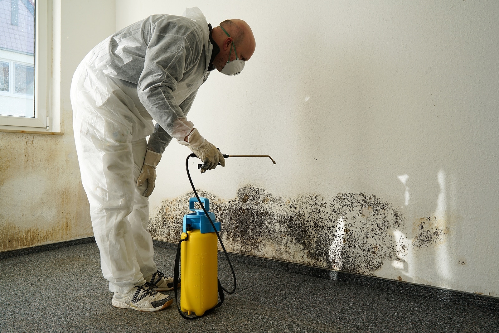 Breathing Easy: 4 Effective Strategies for Preventing Mold Growth